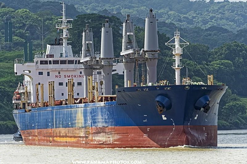 30003 T Bulk Carrier For Sale