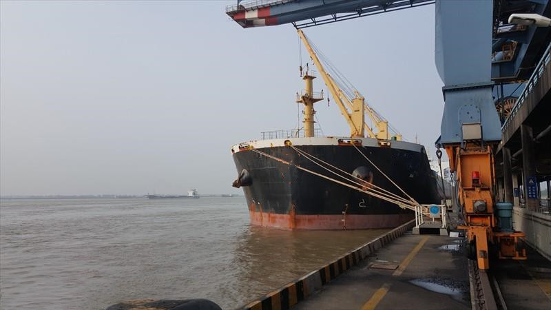56892 T Bulk Carrier For Sale