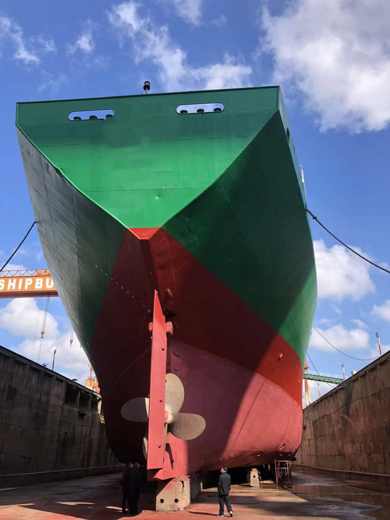 10890 T Bulk Carrier For Sale