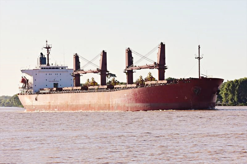 50913 T Bulk Carrier For Sale