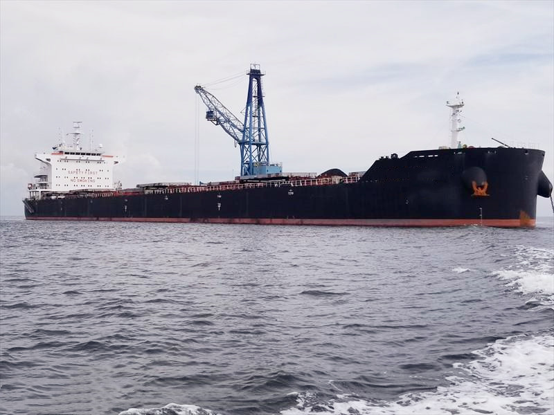 81805 T Bulk Carrier For Sale