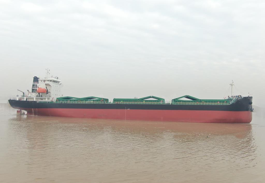 11035 T Bulk Carrier For Sale