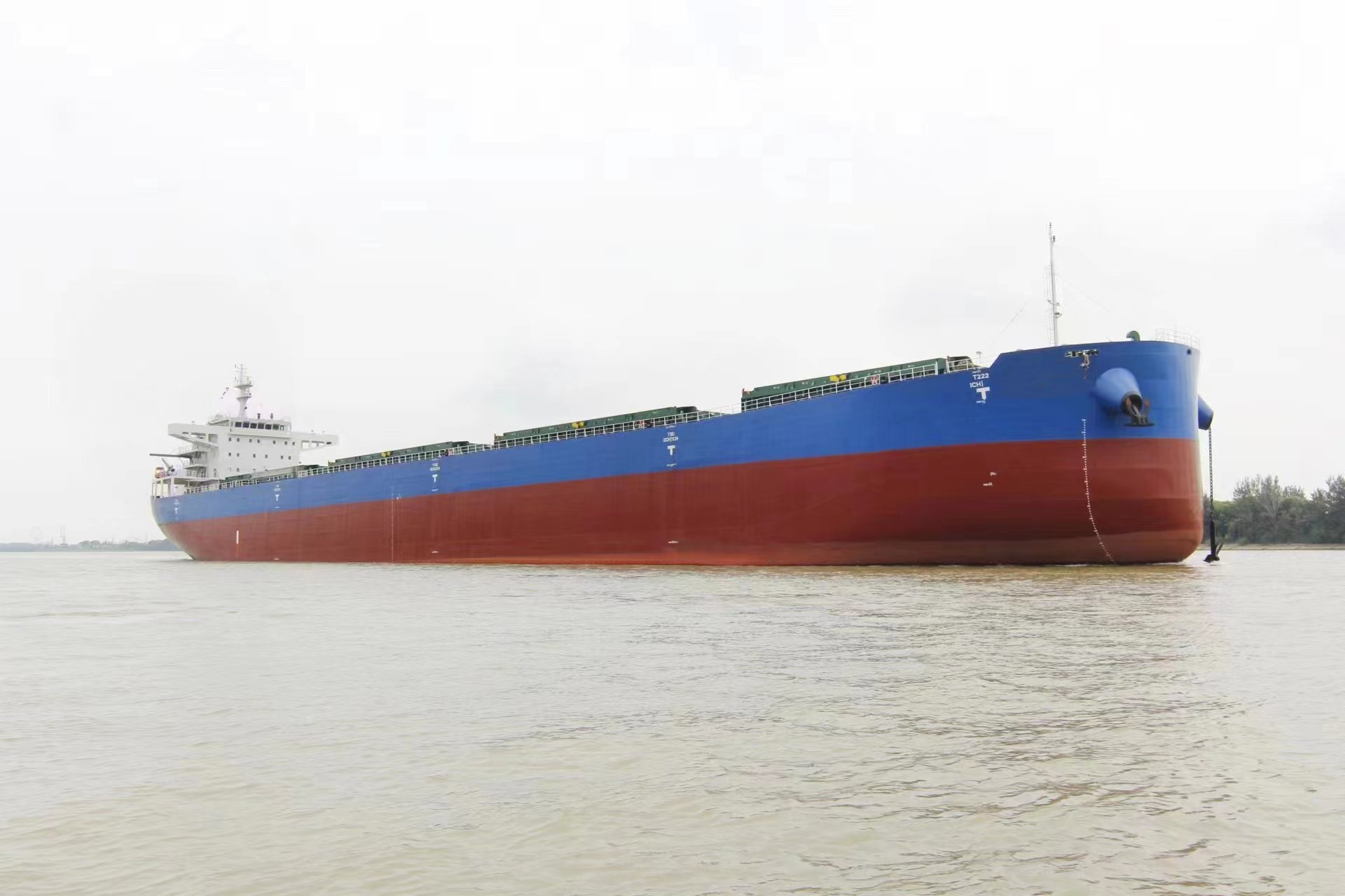 50056 T Bulk Carrier For Sale