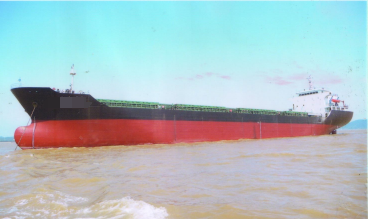 15678 T Bulk Carrier For Sale