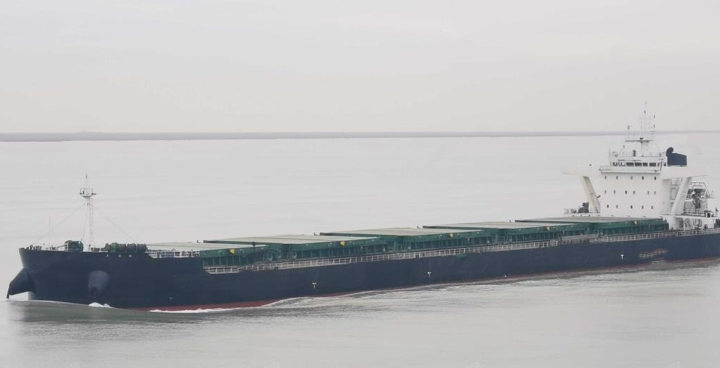 61100 T Bulk Carrier For Sale