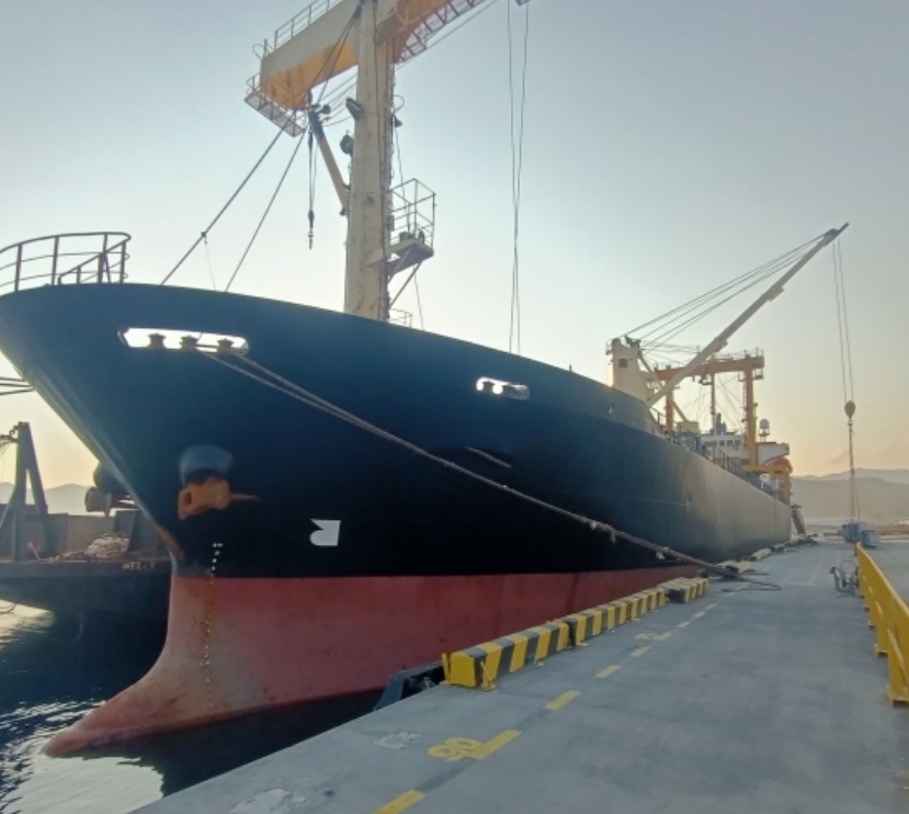 8560 T General Cargo Ship For Sale