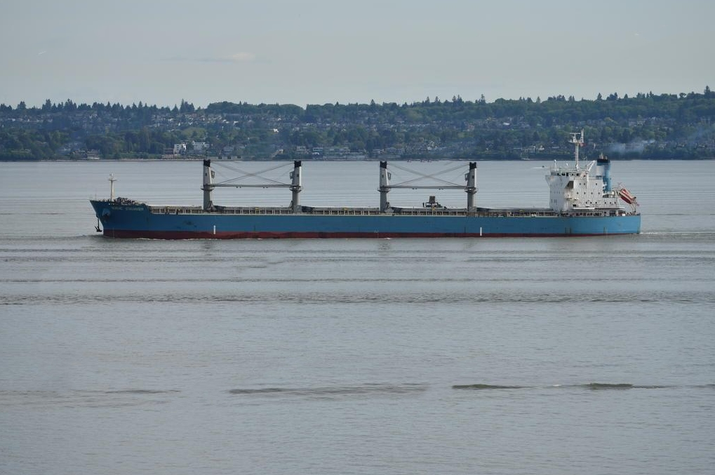 56200 T Bulk Carrier For Sale