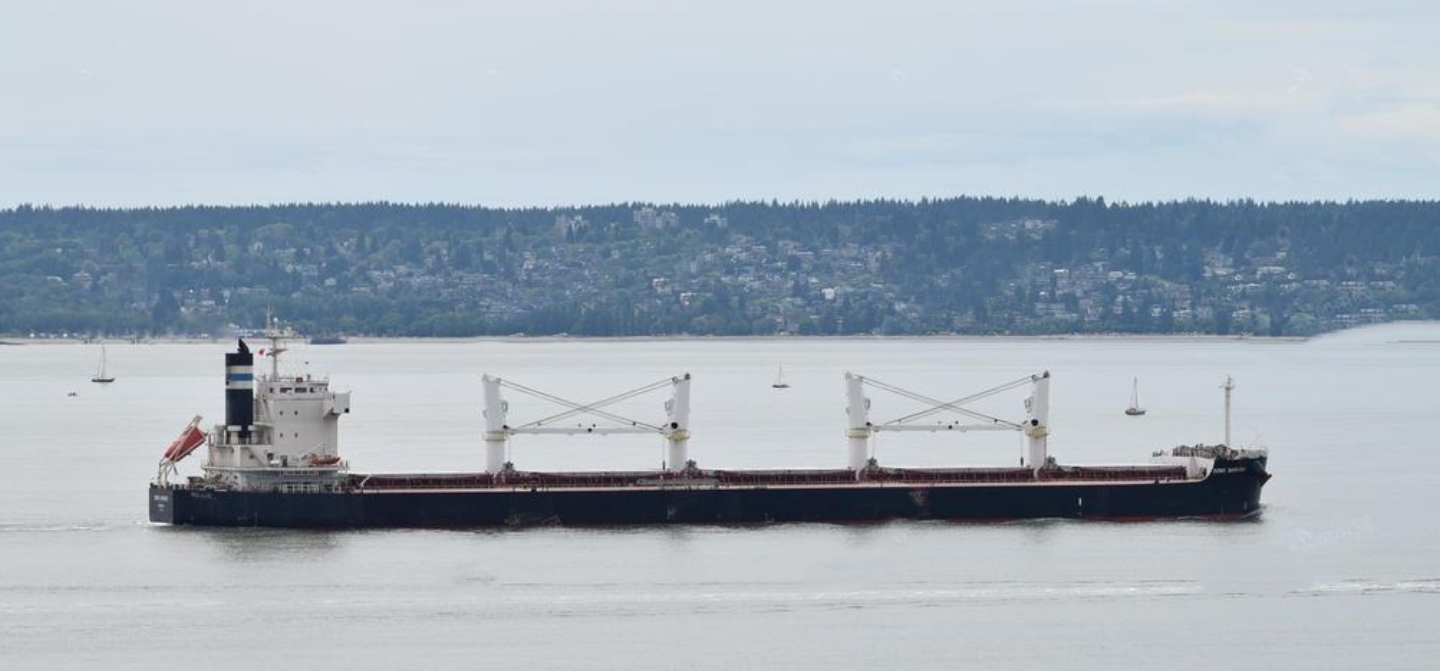 58000 T Bulk Carrier For Sale