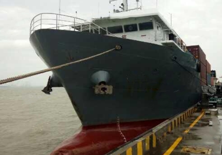 252 TEU Container Ship For Sale