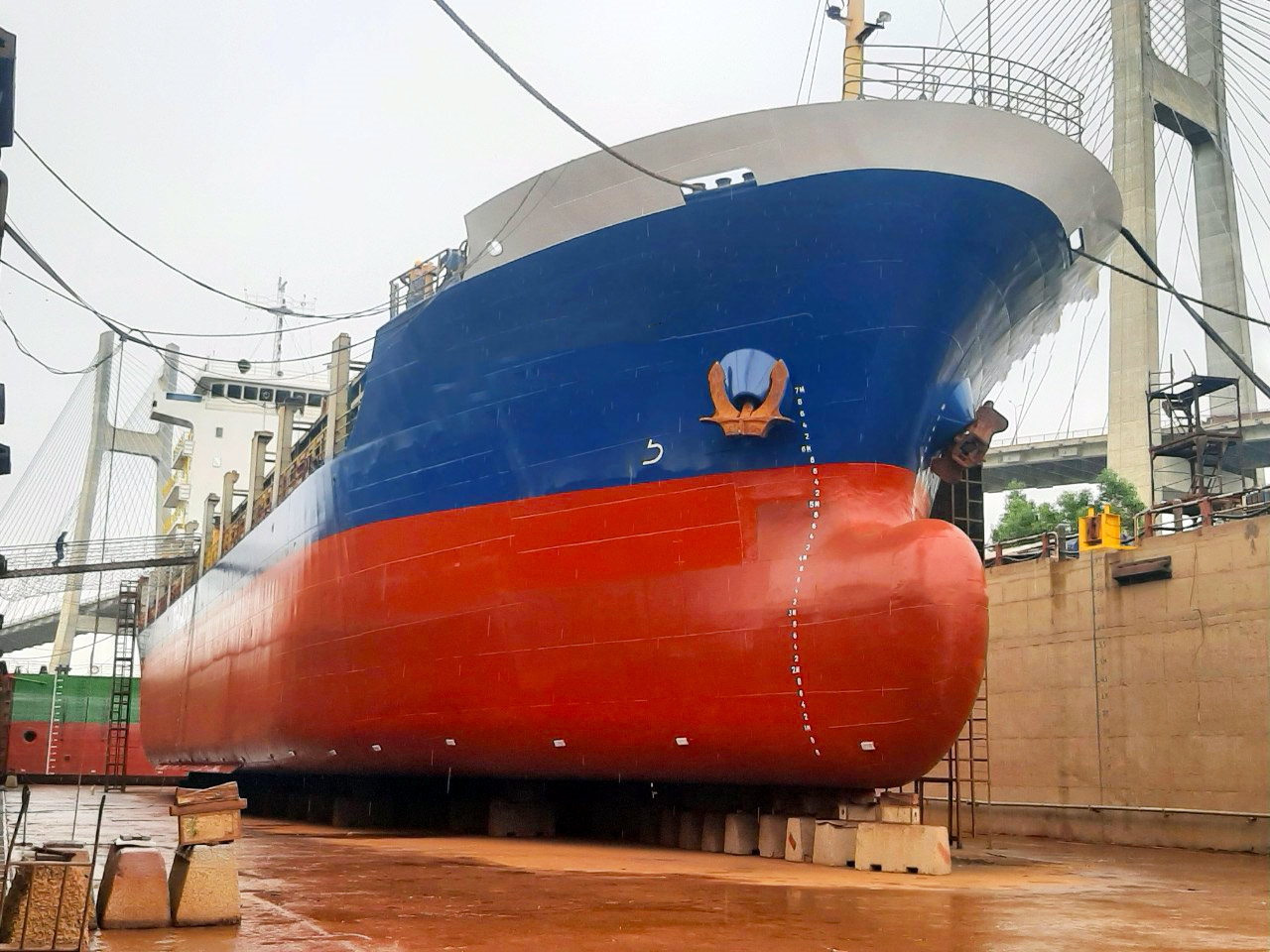 294 TEU Container Ship For Sale
