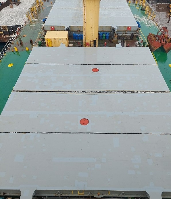 55500 T Bulk Carrier For Sale