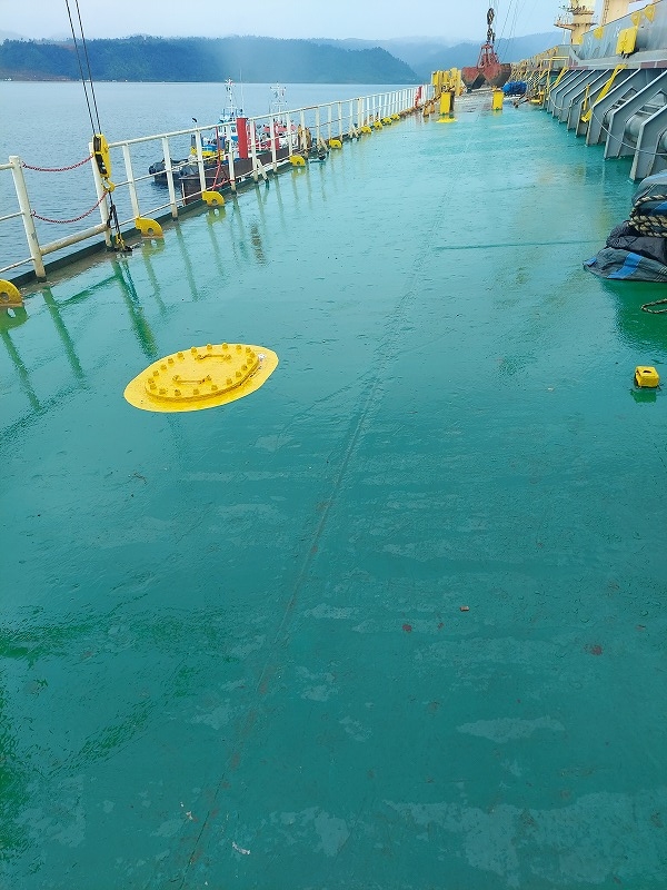 55500 T Bulk Carrier For Sale