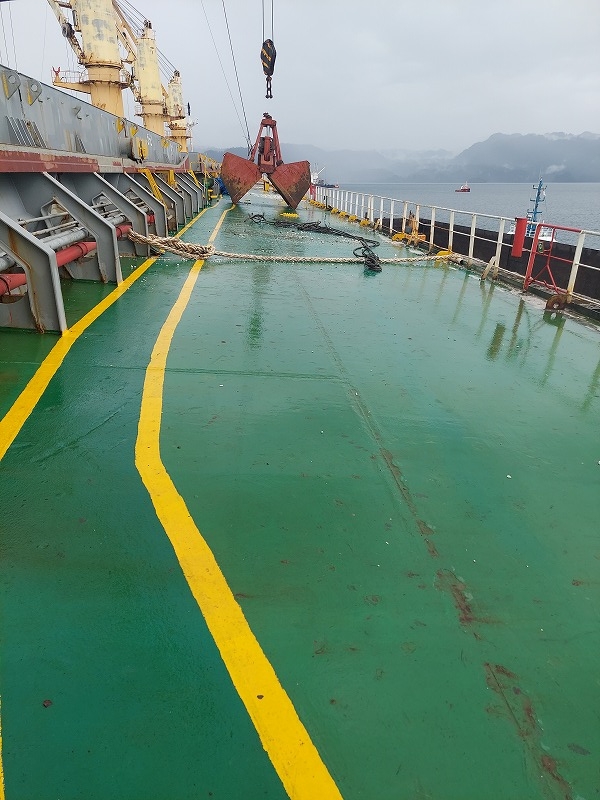 55500 T Bulk Carrier For Sale