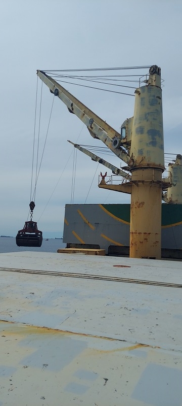 55500 T Bulk Carrier For Sale