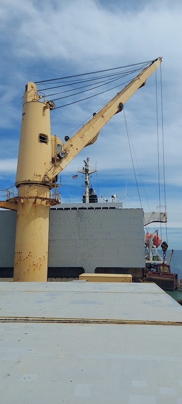 55500 T Bulk Carrier For Sale