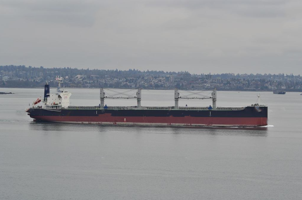 58753 T Bulk Carrier For Sale