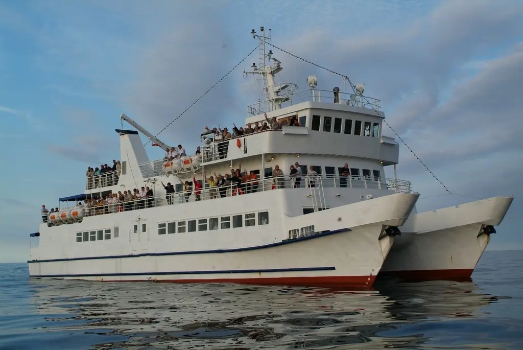 267 P Catamaran For Sale