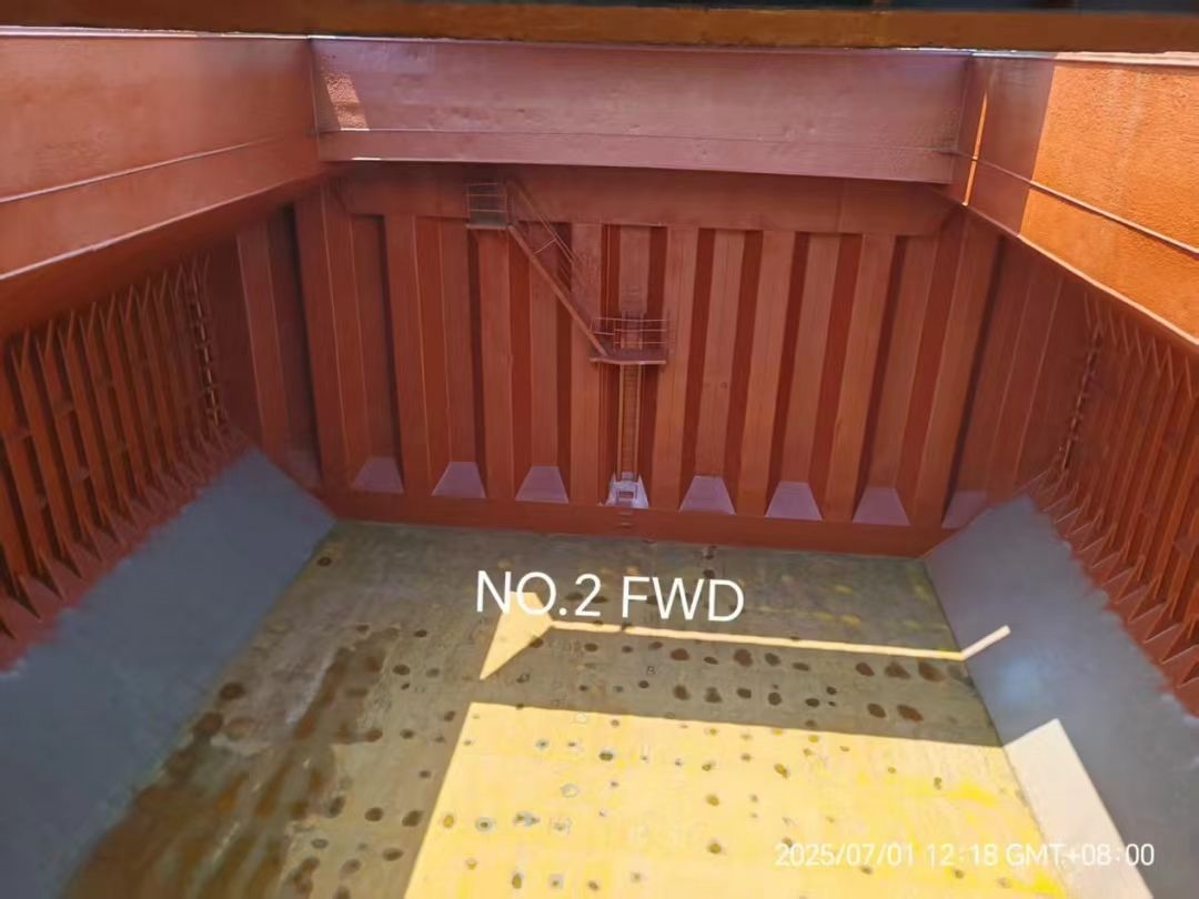 20050 T Bulk Carrier For Sale